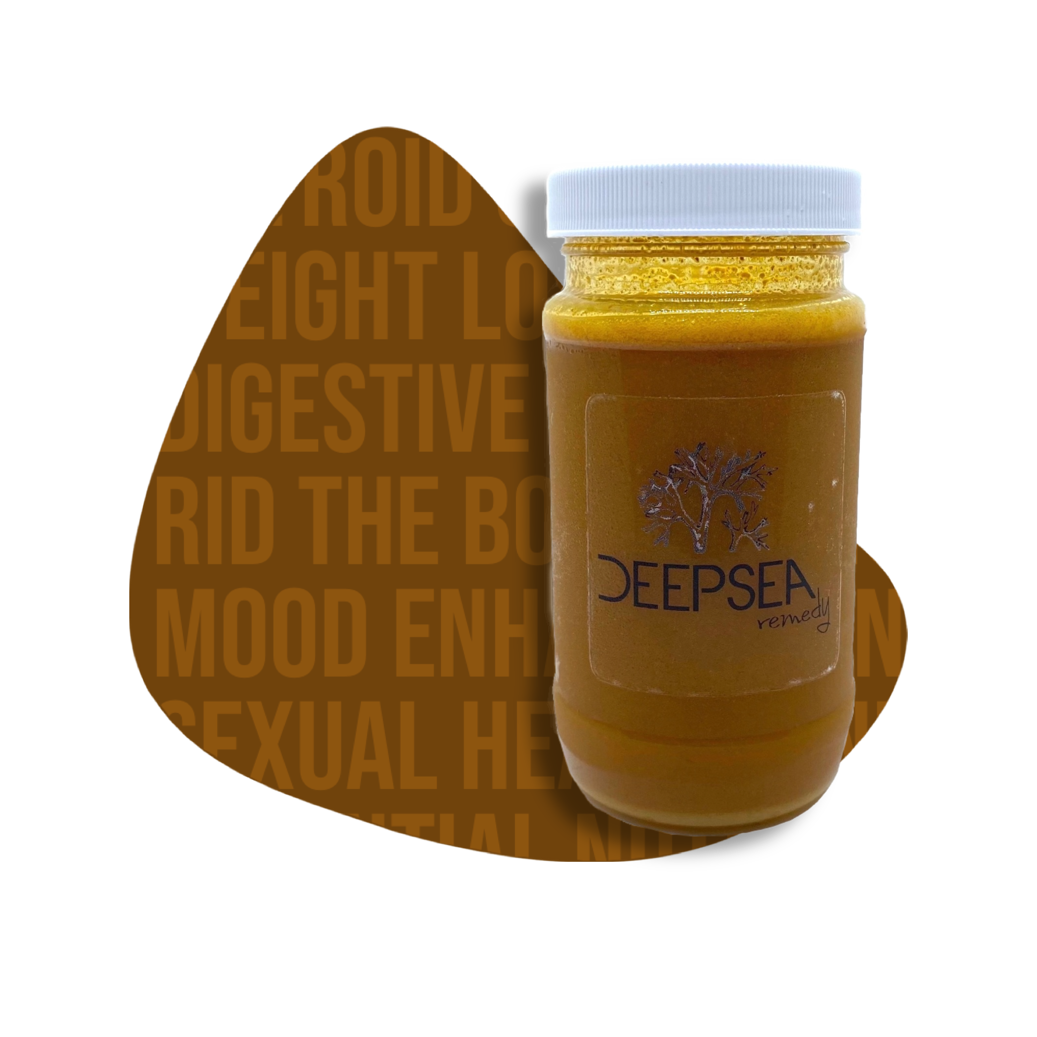 Liquid Gold (Turmeric Honey)